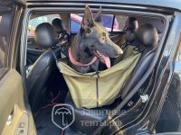 Накидка ПРЕМИУМ для перевозки собак в салоне автомобиля